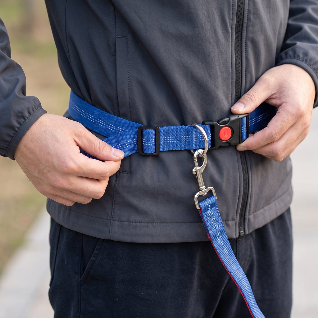 Laisse Mains Libres pour Chien – Ceinture Réglable et Laisse Élastique Le Refuge Félin Canin
