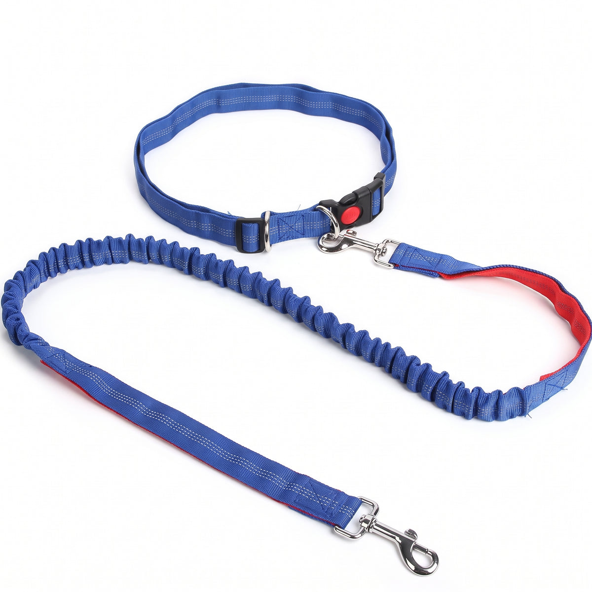 Laisse Mains Libres pour Chien – Ceinture Réglable et Laisse Élastique Le Refuge Félin Canin