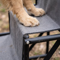 Escalier Pliable pour Chien – Rampe à Marches pour Voiture et Coffre, Charge Max 75 kg Le Refuge Félin Canin