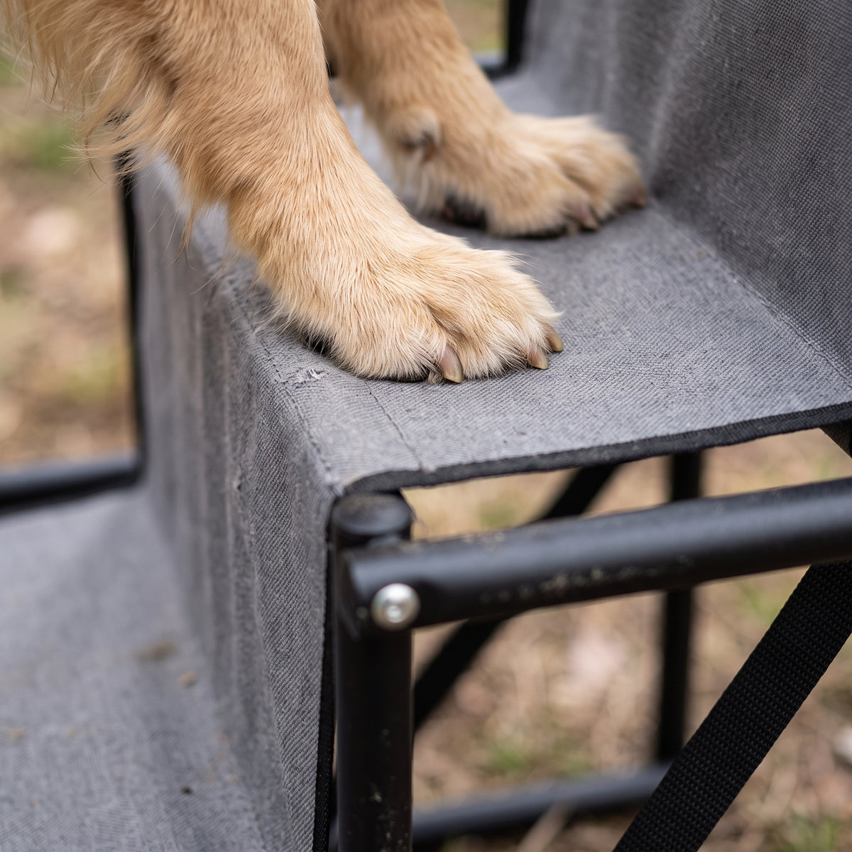 Escalier Pliable pour Chien – Rampe à Marches pour Voiture et Coffre, Charge Max 75 kg Le Refuge Félin Canin