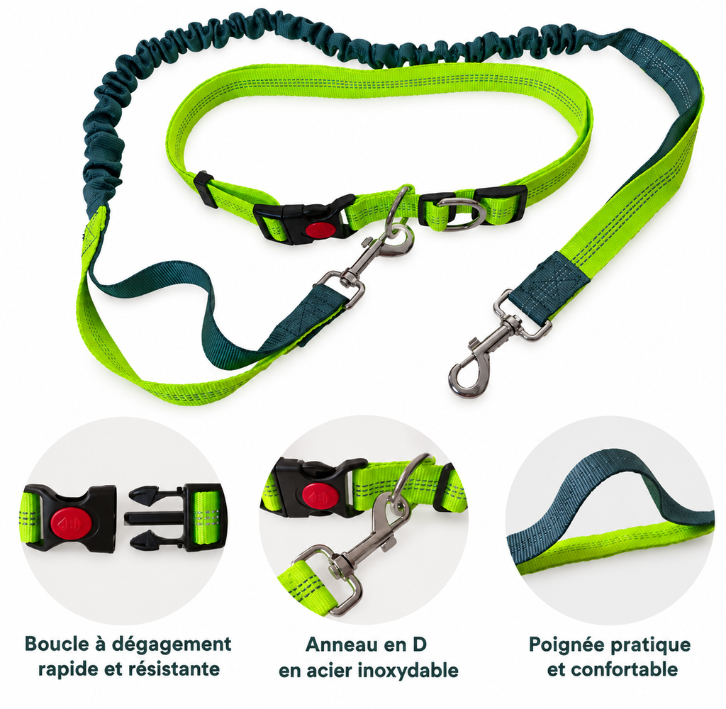 Laisse Mains Libres pour Chien – Ceinture Réglable et Laisse Élastique Le Refuge Félin Canin