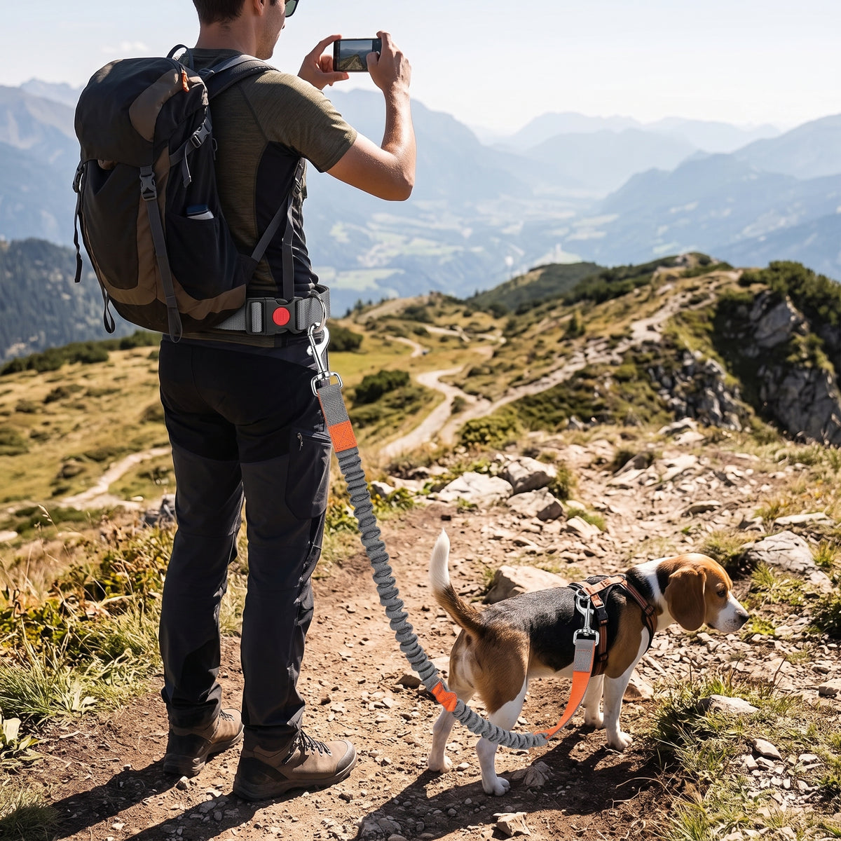 Laisse Mains Libres pour Chien – Ceinture Réglable et Laisse Élastique Le Refuge Félin Canin