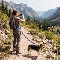Laisse Mains Libres pour Chien – Ceinture Réglable et Laisse Élastique Le Refuge Félin Canin