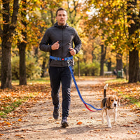 Laisse Mains Libres pour Chien – Ceinture Réglable et Laisse Élastique Le Refuge Félin Canin