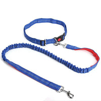 Hand Free Dog Leash for Adjustable Dog Leash Waist Belt Pet Walking Running Jogging Chest Strap Traction Rope Dog Accessories Le Refuge Félin Canin