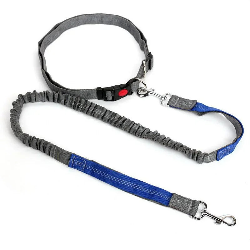 Hand Free Dog Leash for Adjustable Dog Leash Waist Belt Pet Walking Running Jogging Chest Strap Traction Rope Dog Accessories Le Refuge Félin Canin