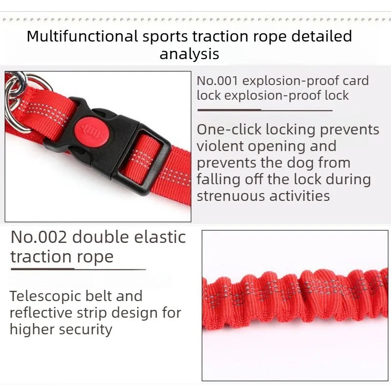 Hand Free Dog Leash for Adjustable Dog Leash Waist Belt Pet Walking Running Jogging Chest Strap Traction Rope Dog Accessories Le Refuge Félin Canin