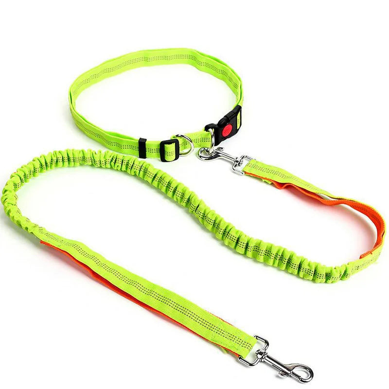 Hand Free Dog Leash for Adjustable Dog Leash Waist Belt Pet Walking Running Jogging Chest Strap Traction Rope Dog Accessories Le Refuge Félin Canin