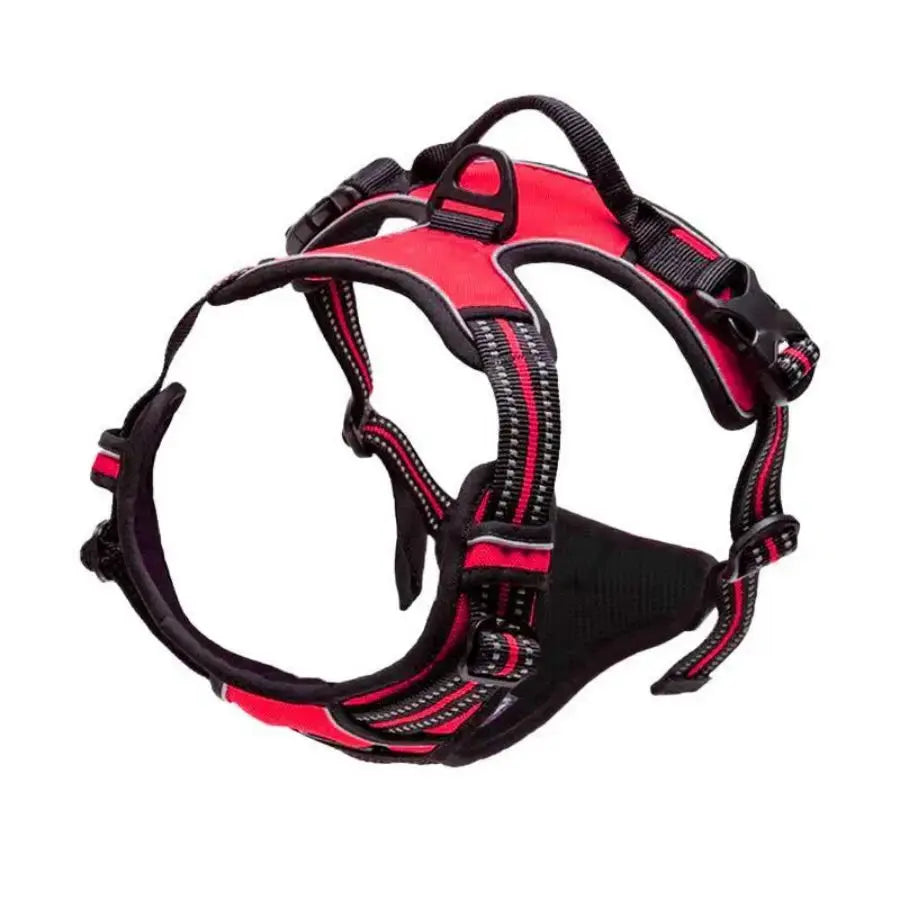 Harnais Anti-Traction Chien – Sans Étranglement, Double Attache & Poignée de Contrôle Le Refuge Félin Canin