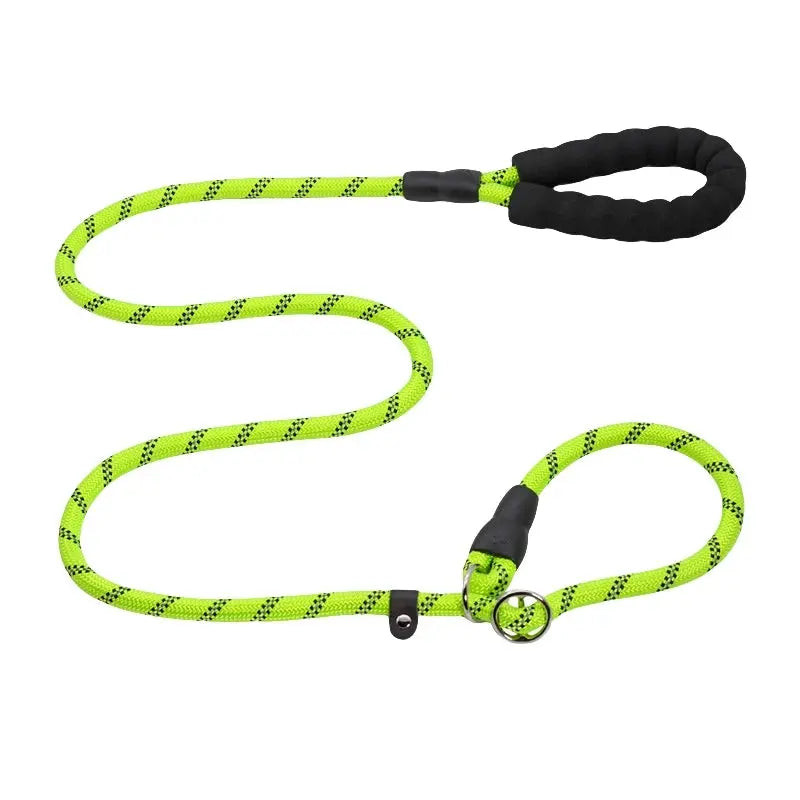 Laisse Anti-Traction Confort – Le complément indispensable de votre harnais Le Refuge Félin Canin