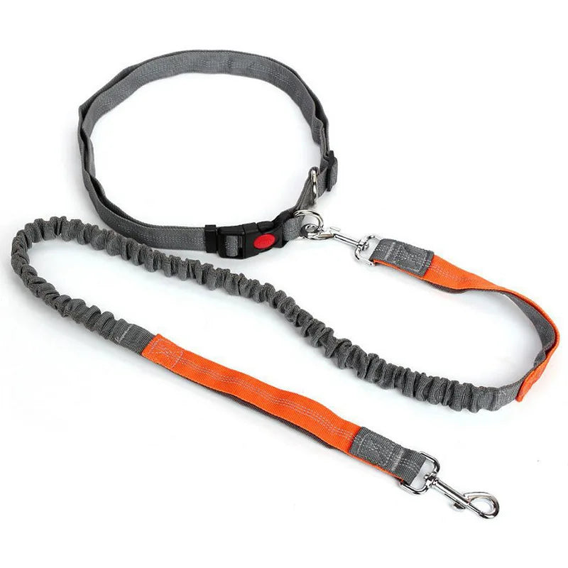 Hand Free Dog Leash for Adjustable Dog Leash Waist Belt Pet Walking Running Jogging Chest Strap Traction Rope Dog Accessories Le Refuge Félin Canin