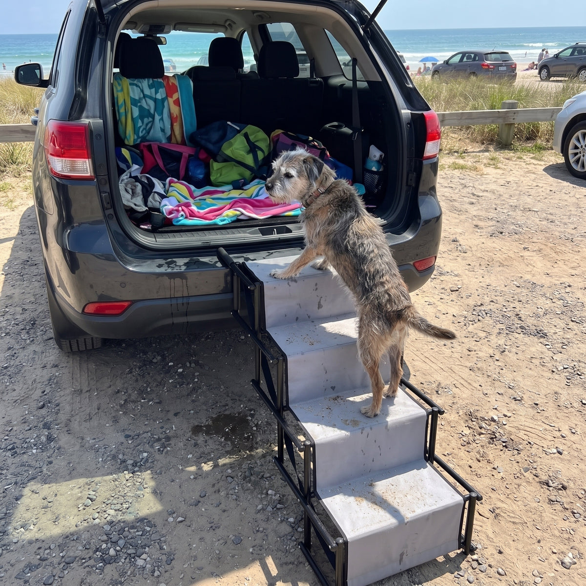 Escalier Pliable pour Chien – Rampe à Marches pour Voiture et Coffre, Charge Max 75 kg Le Refuge Félin Canin