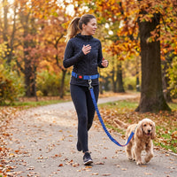Laisse Mains Libres pour Chien – Ceinture Réglable et Laisse Élastique Le Refuge Félin Canin