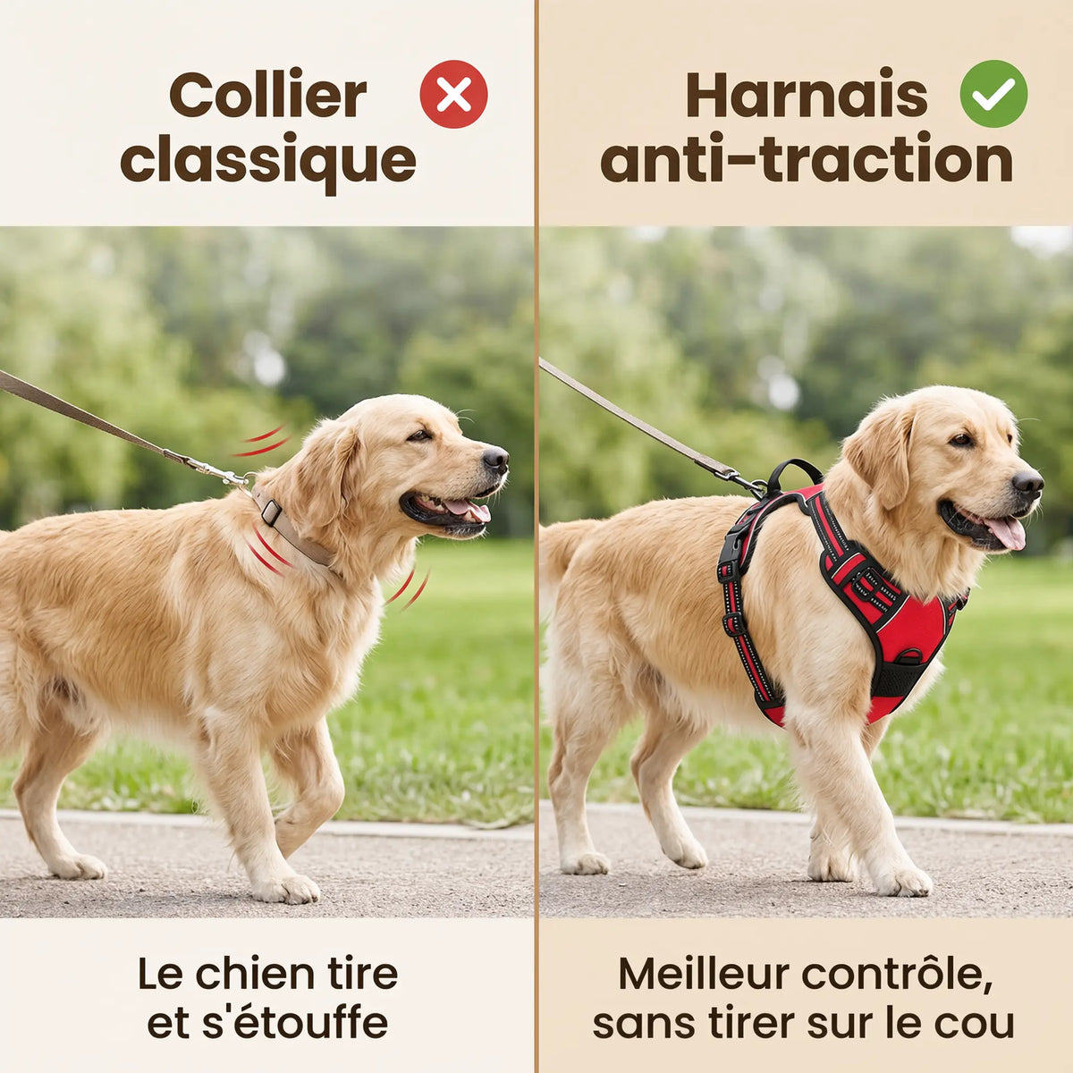 Harnais Anti-Traction Chien – Sans Étranglement, Double Attache & Poignée de Contrôle Le Refuge Félin Canin