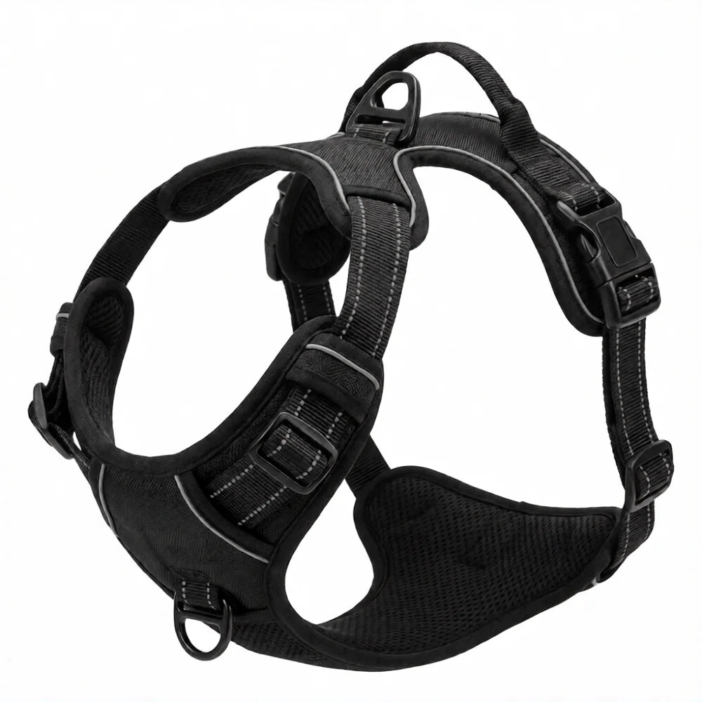 Harnais rembourré noir avec sangles ajustables, boucles, panneaux en maille et anneaux métalliques d'attache, sur fond blanc Image