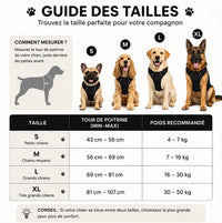 Harnais Anti-Traction Chien – Sans Étranglement, Double Attache & Poignée de Contrôle Le Refuge Félin Canin