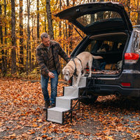 Escalier Pliable pour Chien – Rampe à Marches pour Voiture et Coffre, Charge Max 75 kg Le Refuge Félin Canin