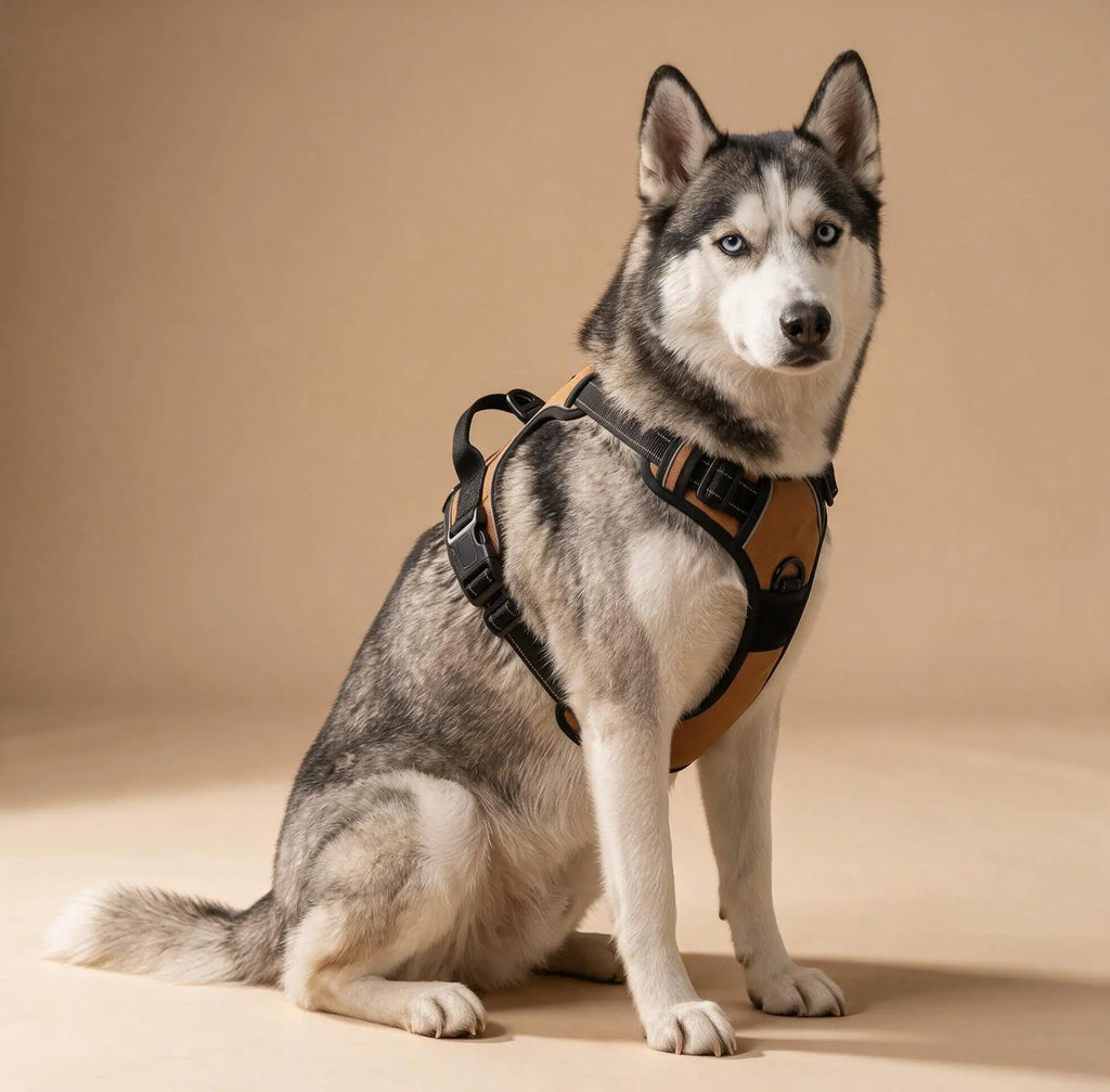Harnais Anti-Traction Chien – Sans Étranglement, Double Attache & Poignée de Contrôle Le Refuge Félin Canin