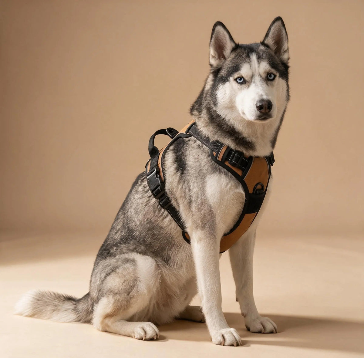 Harnais Anti-Traction Chien – Sans Étranglement, Double Attache & Poignée de Contrôle Le Refuge Félin Canin