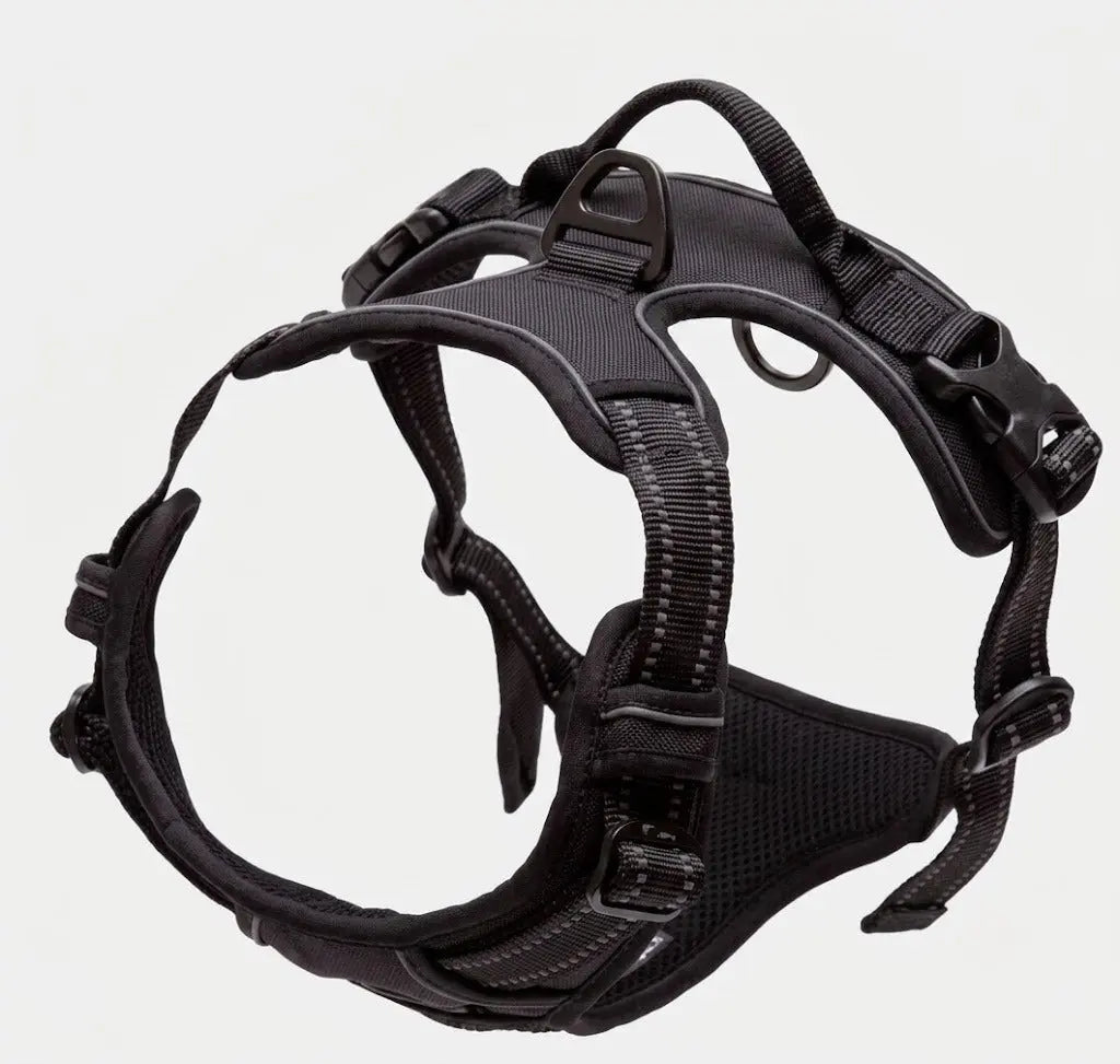 Harnais Anti-Traction Chien – Sans Étranglement, Double Attache & Poignée de Contrôle Le Refuge Félin Canin