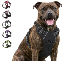 Harnais Anti-Traction Chien – Sans Étranglement, Double Attache & Poignée de Contrôle Le Refuge Félin Canin