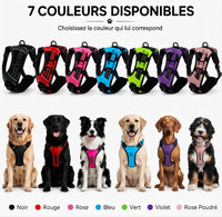 Harnais Anti-Traction Chien – Sans Étranglement, Double Attache & Poignée de Contrôle Le Refuge Félin Canin